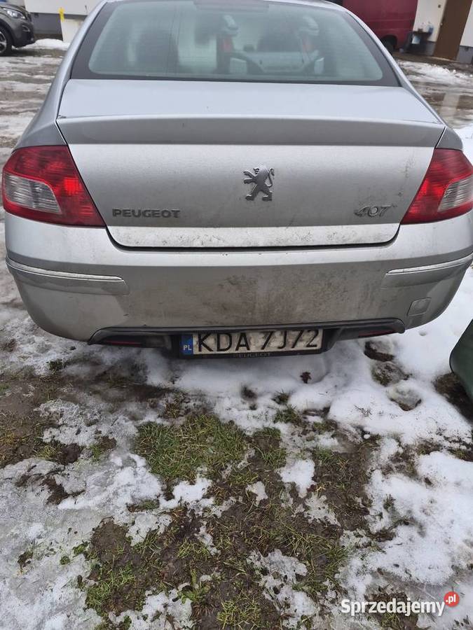 Peugeot 407 Załuże