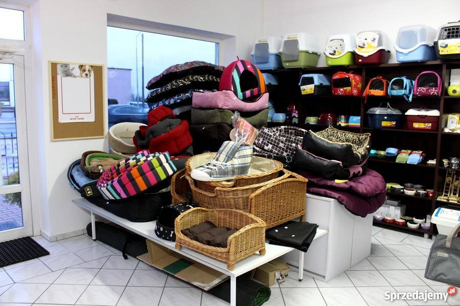 BURUNDUK WIEWIÓRKA SYBERYJSKA Tamias sibiricus Piła