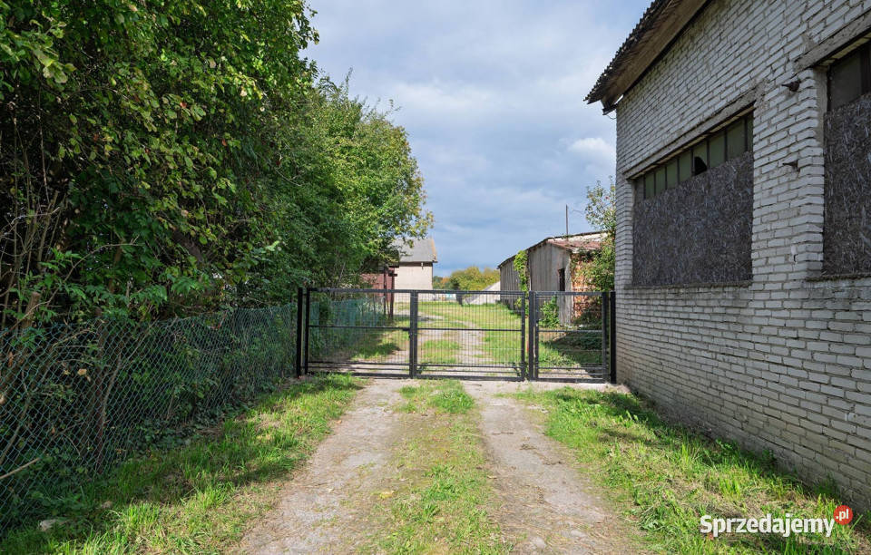 Na sprzedaż magazynhala i dom RusinowoNaćmierz Postomino