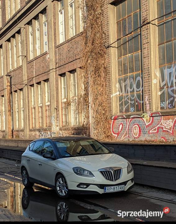 Lancia Delta 2009 16JTD 120 Przemyśl