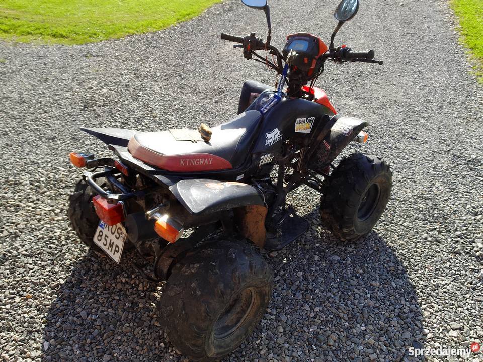 Kingway alpinus 200 Bashan Godziszka