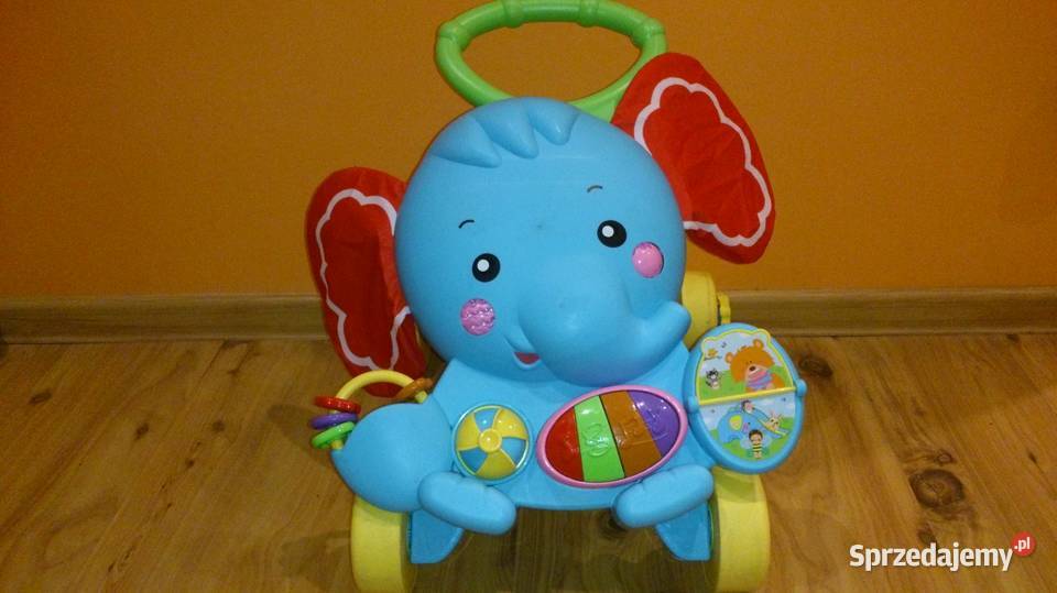 Chodzik Pchacz ZebraInteraktywny Zielona Góra