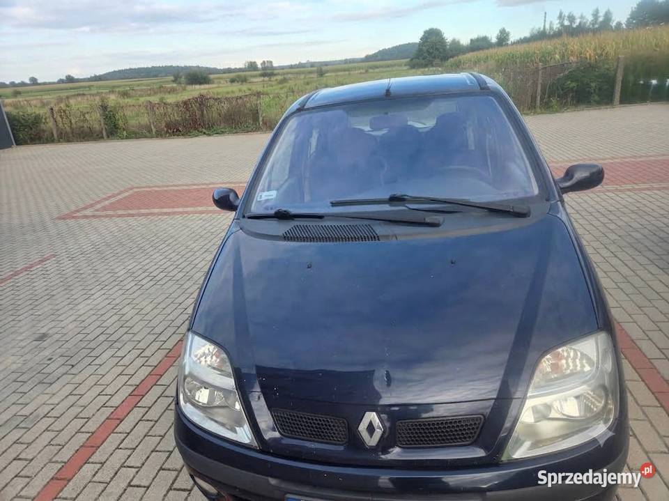 Sprzedam Renault Scenic 1 Scenic Stawiszyn sprzedam
