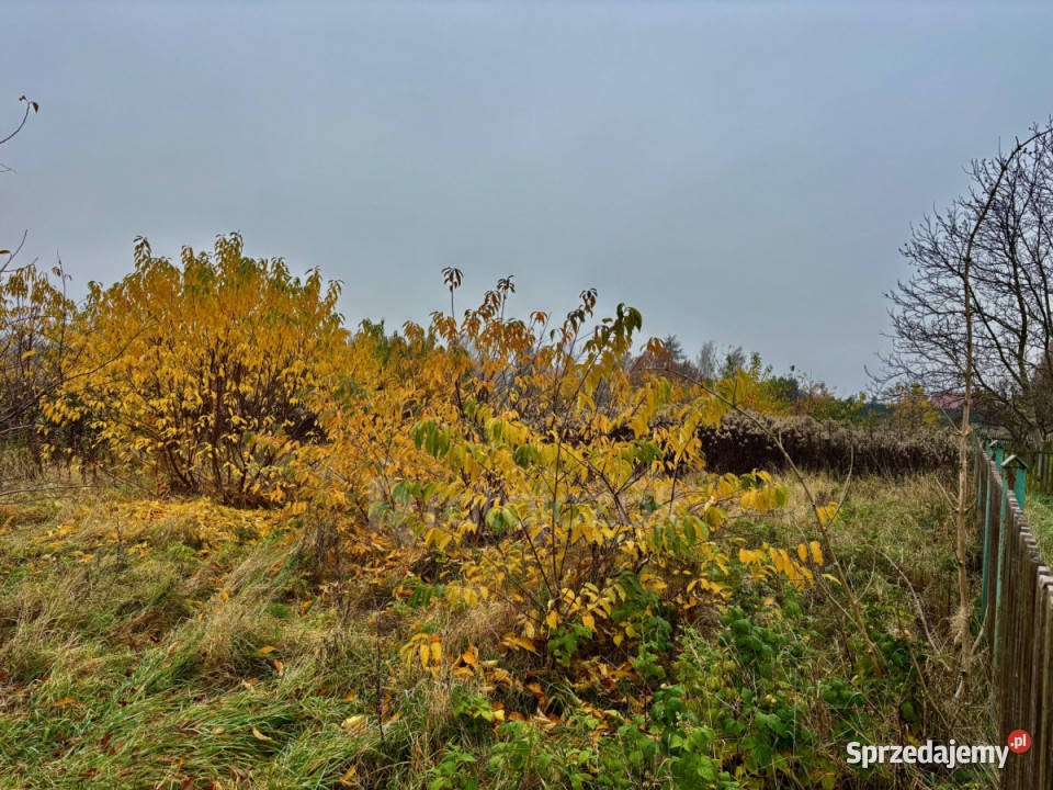 Grunt 2914 metry Drewnica 76m Sprzedaż