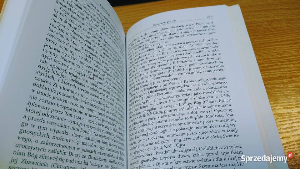 Istota gnostycyzmu w świetle interpretacji religioznawstwo, nauki teologiczne Gdańsk sprzedam