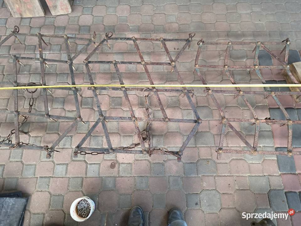 Brony konne Sędziszów Małopolski