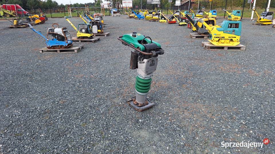 Skoczek Stopa WACKER NEUSON BS 602i ammann 802 dolnośląskie Trzebnica