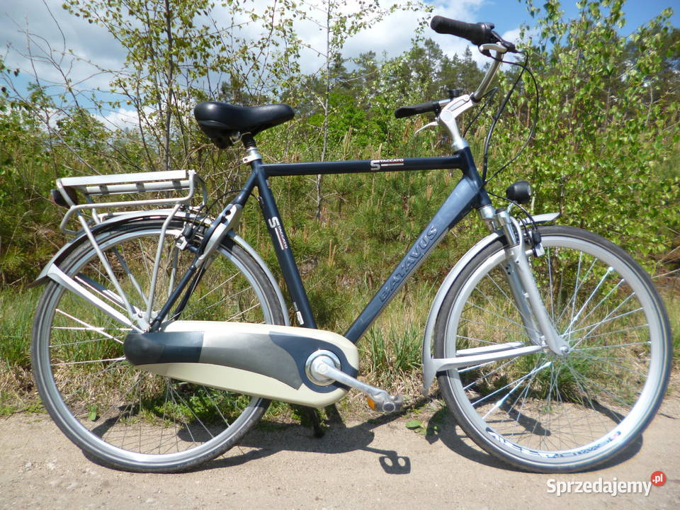 Rower Batavus holenderski Łochów