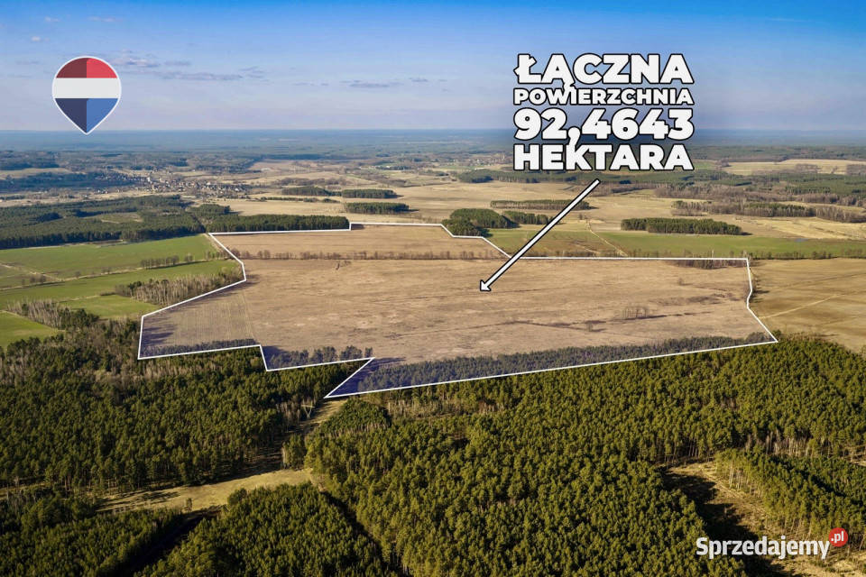 Działka rolna na sprzedaż aż 925 ha Sprzedaż lubuskie Koźla