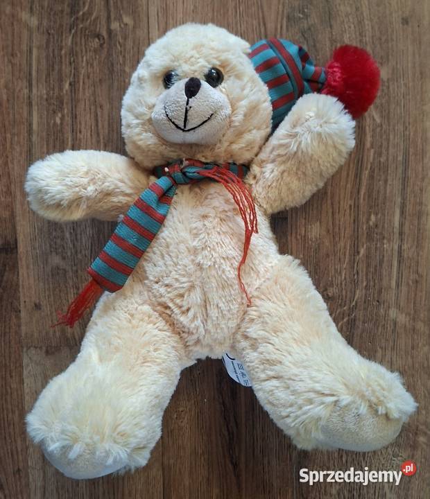 Maskotka miś pluszak 19 Zielona Góra