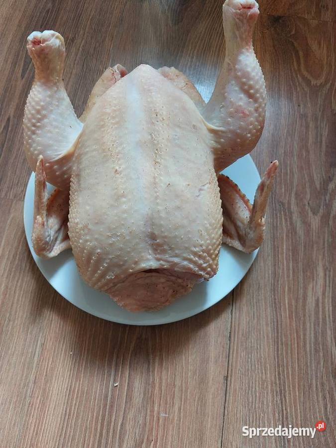 Sprzedam kurczaki brojlery wielkopolskie Złotków
