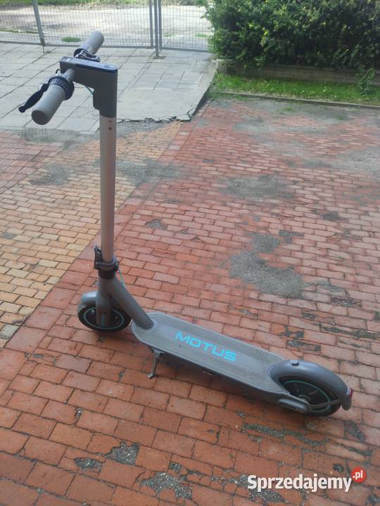 Motus Scoty 10 dolnośląskie Legnica