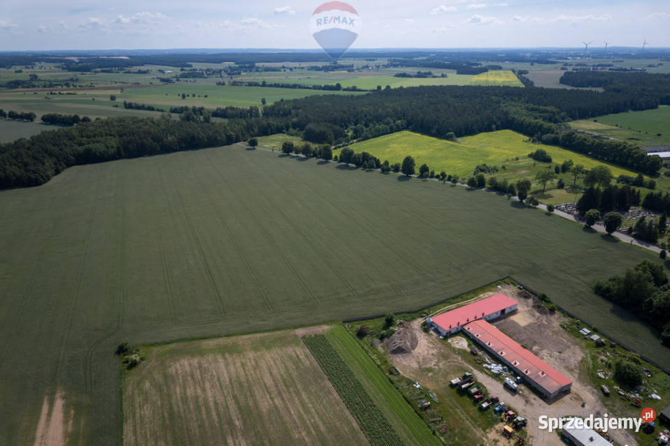 901 ha MPZP produkcja logistyka 1 S7 Białuty sprzedam