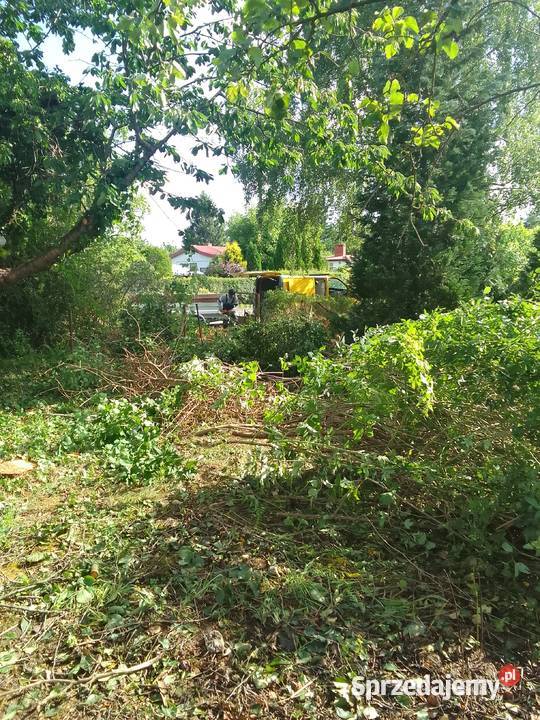 Wycinka DrzewSprzatanie dzialekkoszenie Bydgoszcz