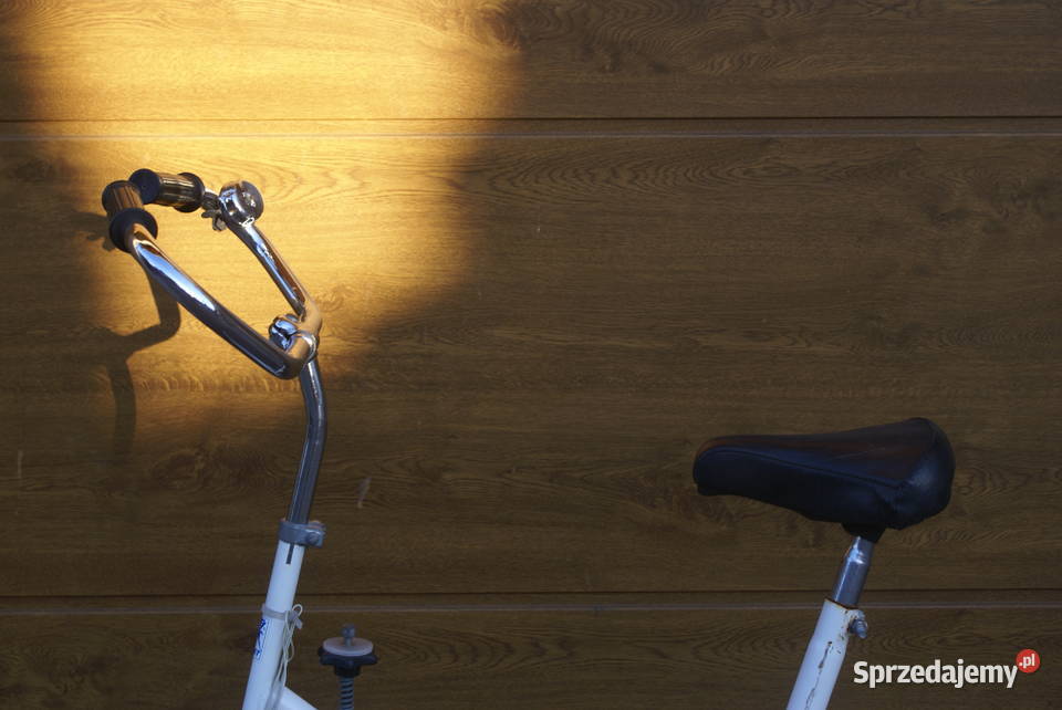 ROMET ROWER STACJONARNY REHABILITACYJNY OPOLSKIE Korfantów sprzedam