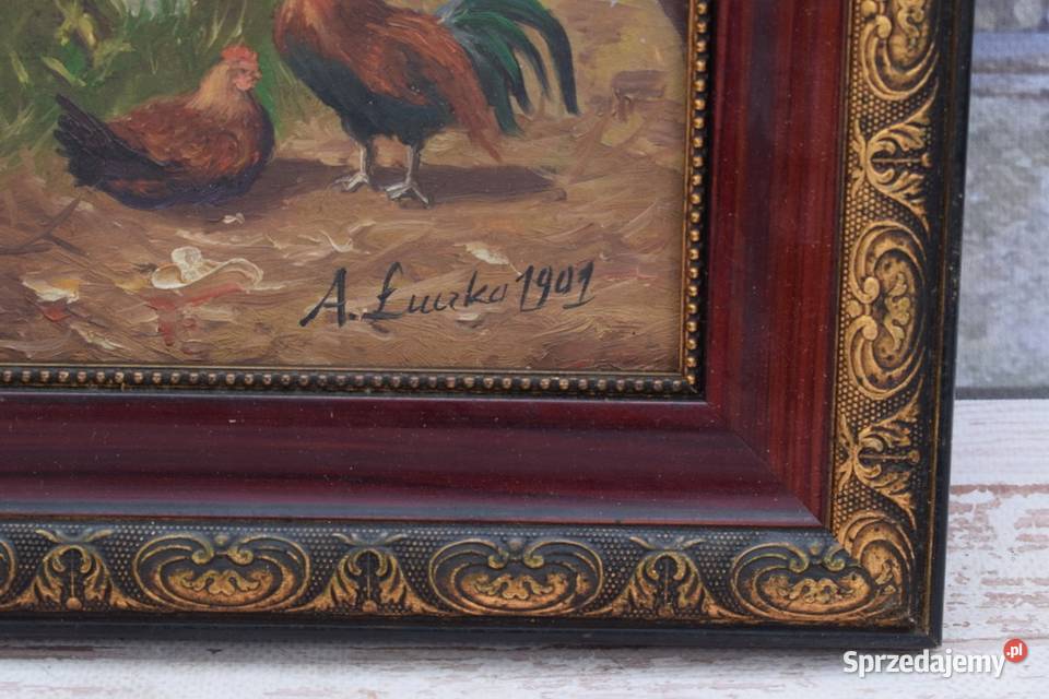 A Łuczko 1901 Kury Koguty Zagroda Wieś Farma Kraków sprzedam