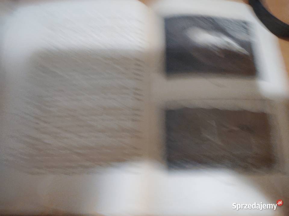 Drogą Pielgrzymów z 64 Fotografjam iX Posadzy