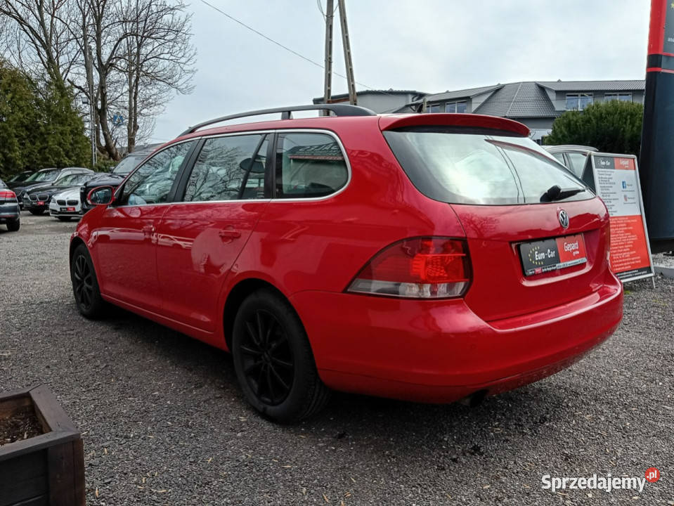 Volkswagen Golf Automatyczna skrzynia biegów DSG Motoryzacja Janów Lubelski sprzedam