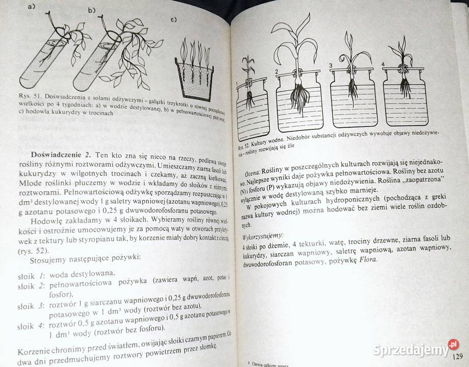 Chemia całkiem prosta Herman Raaf Chełm