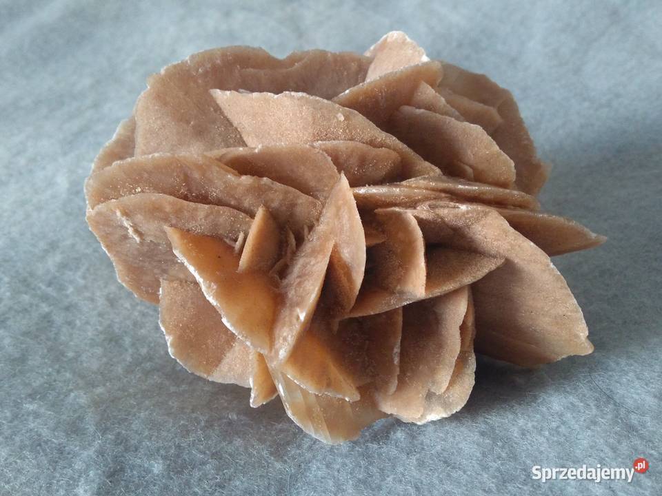 Róża Pustyni kamień ozdobny z Sahary 12 07 Warszawa