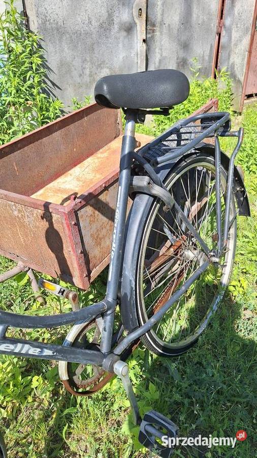 Rower retro Gazelle Koninkluge dieren Konin sprzedam