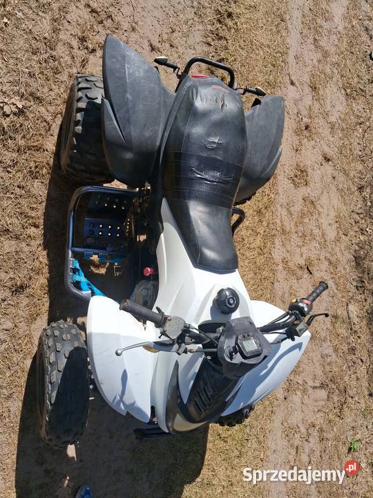 Dinli 360 Kalisz Pomorski