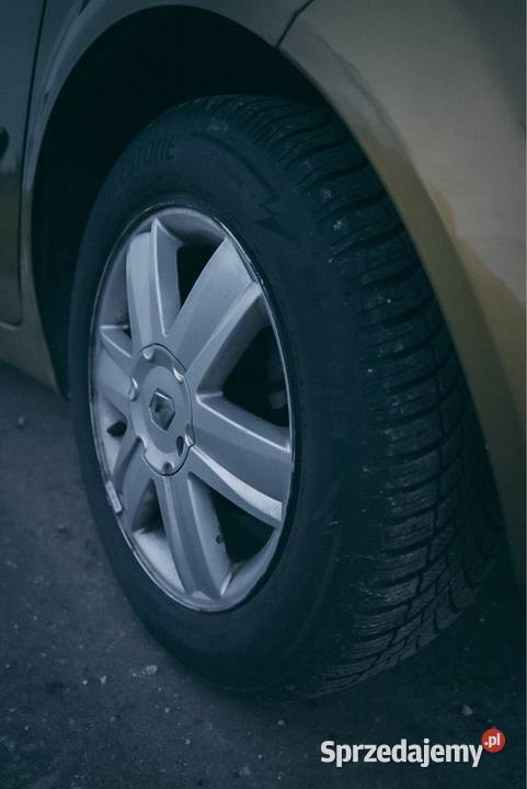 Renault Scenic II 19dci 2004