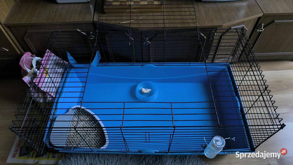 Duża klatka królika innego gryzonia 100 x 50 x Akcesoria dla zwierząt Bydgoszcz