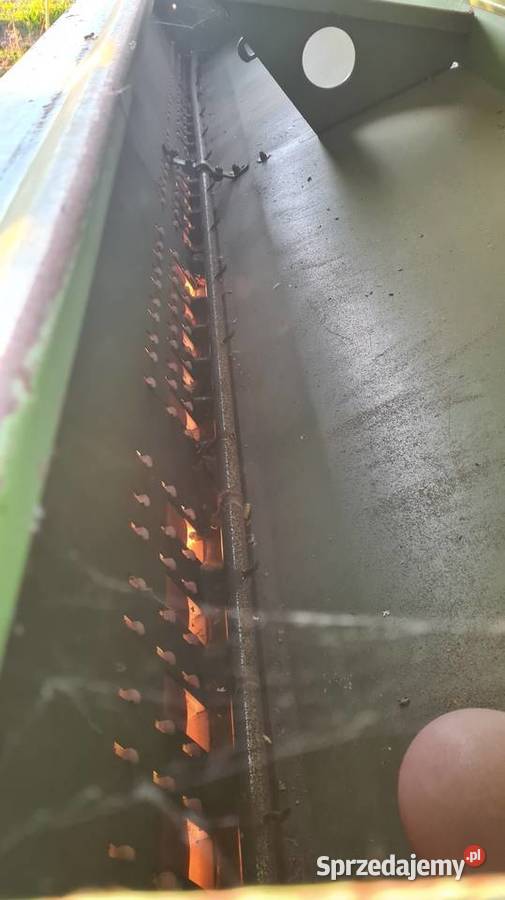 Amazone d8 spcial Dalików sprzedam