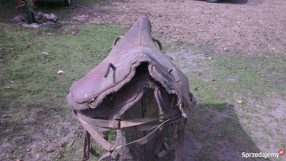 Siodła do woltyżerki sprzedam Mrocza