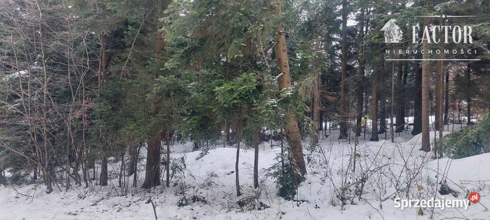 Biała Niżna działka budowlanorolnoleśna 3400m2 sprzedam