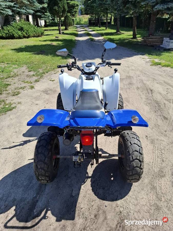 Quad adly Herkules cherhee XXL 100 Motoryzacja Starachowice sprzedam