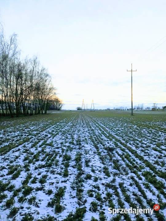 sprzedam grunt pod działki budowlane kujawsko-pomorskie sprzedam