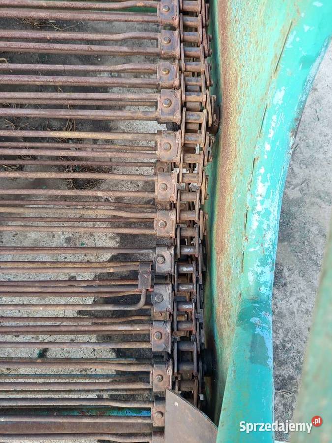 Kopaczka elewatorowa do ziemniaków chrzanu Szynkielów