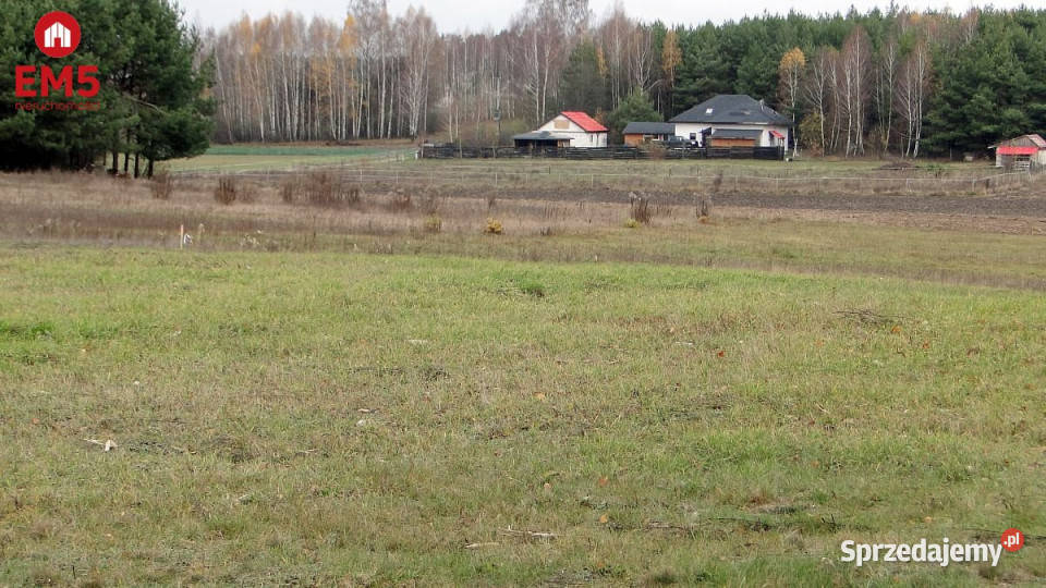 sprzedaży gruntu Tołcze 1000m2 podlaskie