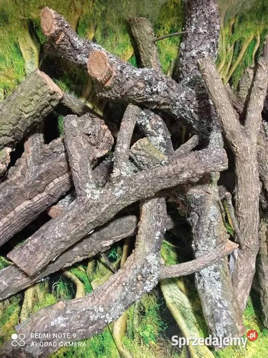 Gałęzie korkowe do terrarium różne kształty i Ostrów Wielkopolski