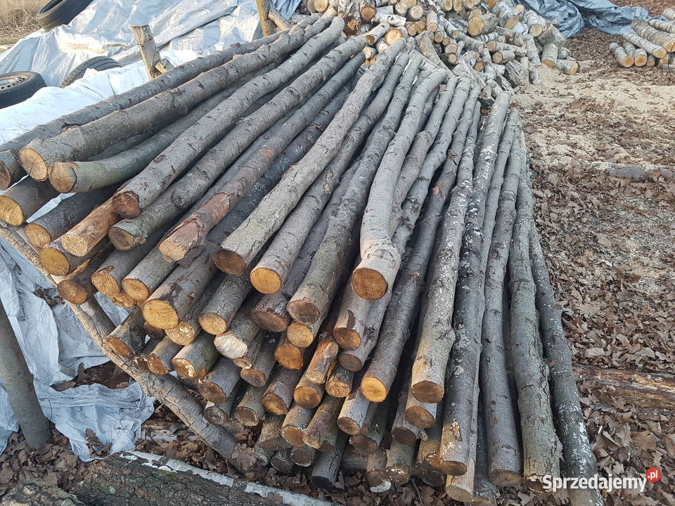 Stemple budowlane 240m 320m 4m i Opał Brzoza