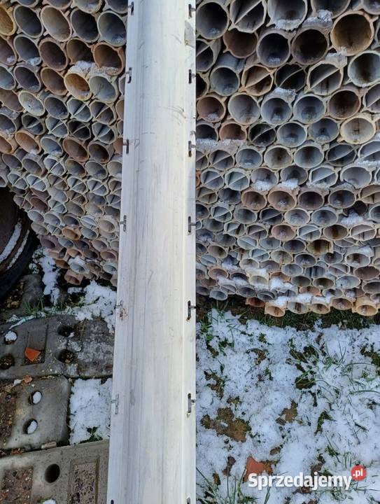 Słupki ogrodzeniowe do siatki leśnej śląskie