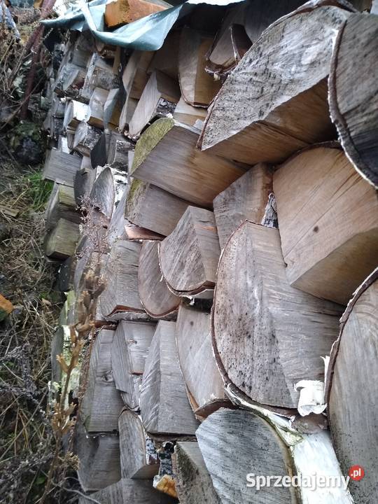 Drewno kominkowe brzoza Nowa Wieś Wielka