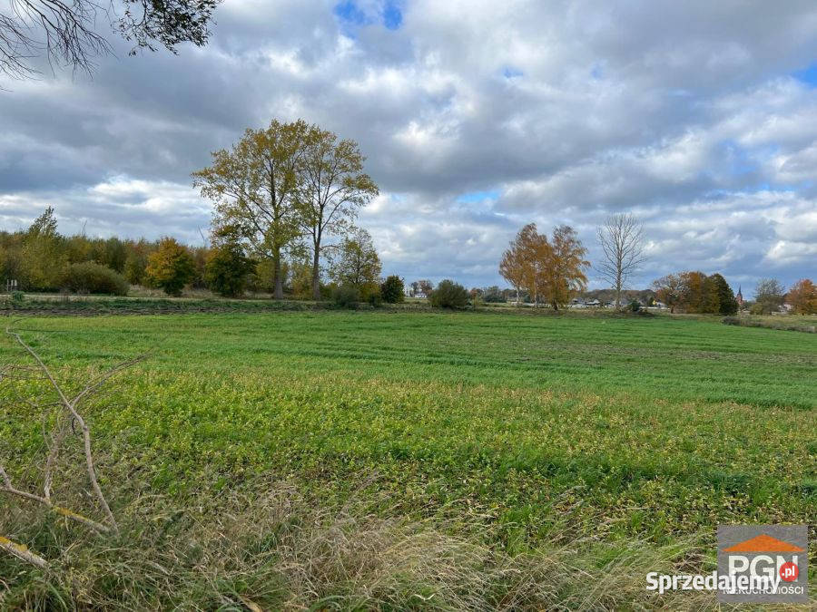 Działkę sprzedam 15825m2 Gostyń sprzedam
