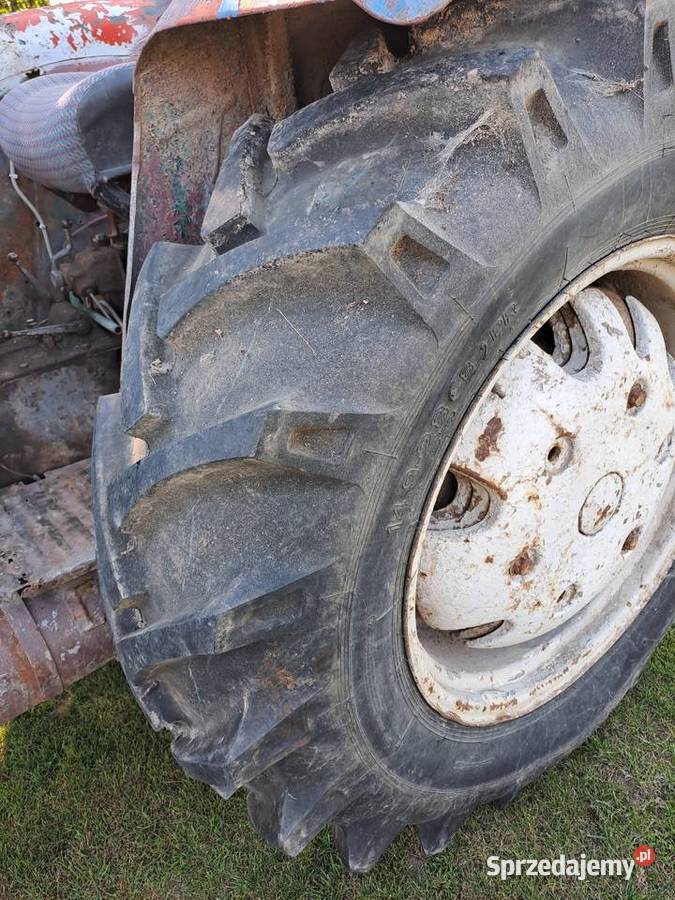 Zetor major 3011 części podzespoły w całości Dzierżoniów