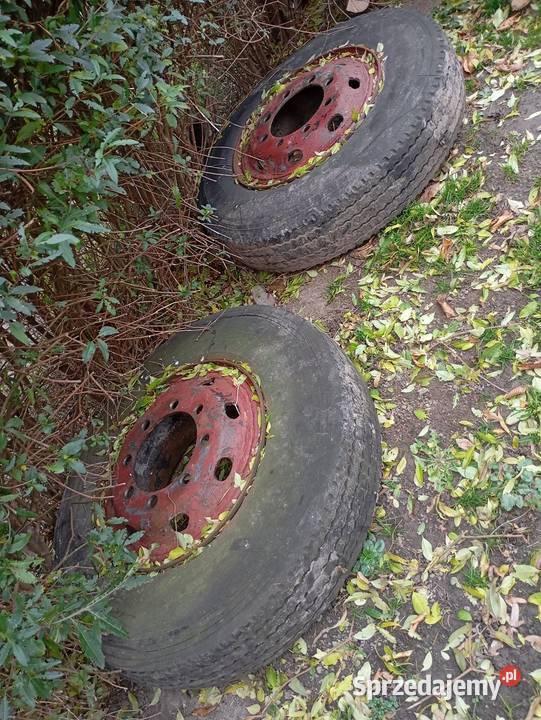 Koła przyczepy d50 Części i osprzęt rolniczy Gać