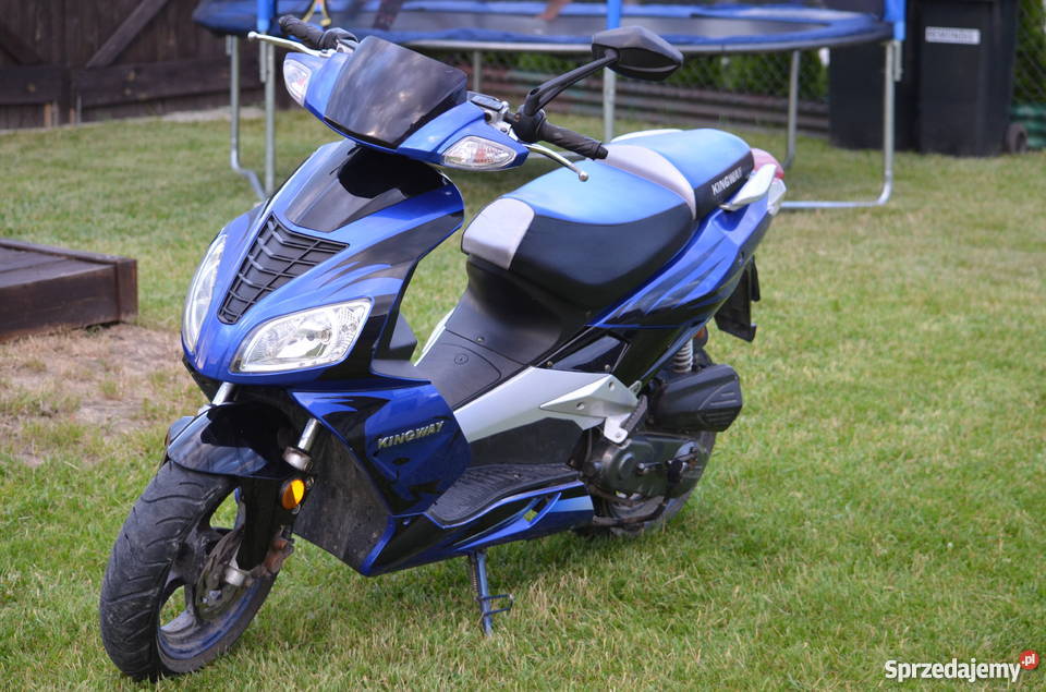 Kingway martinelli TANIO Jacków