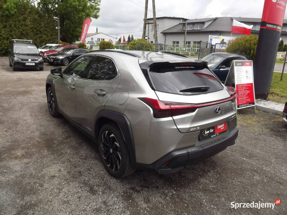 Lexus UX lakier metallic Janów Lubelski