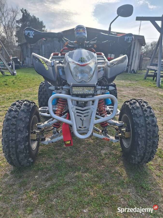 Quad 250 eagle bashan shineray 3000km Eagle Motorsports Rybitwy