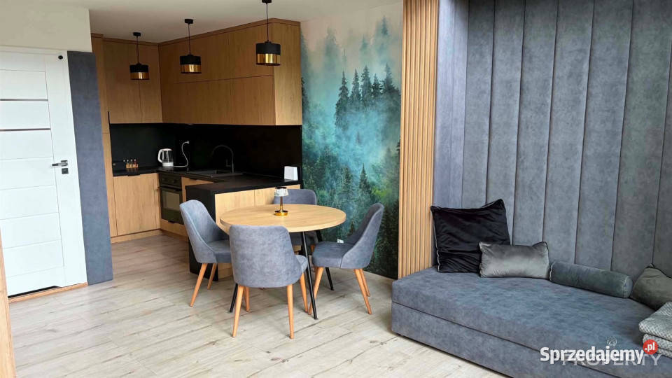 Dom wolnostojący 80m2 WysowaZdrój Wysowa-Zdrój