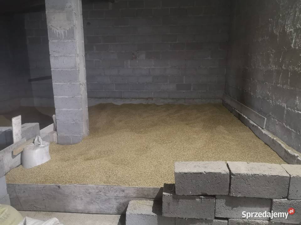 Sprzedam mieszankę zbożową ZakrzynKolonia Sprzedajemy.pl