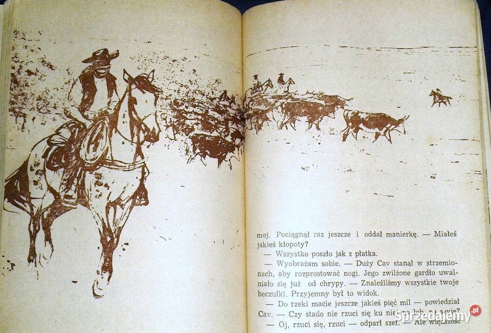 Kowbojskie ostrogi Richard Wormser Chełm