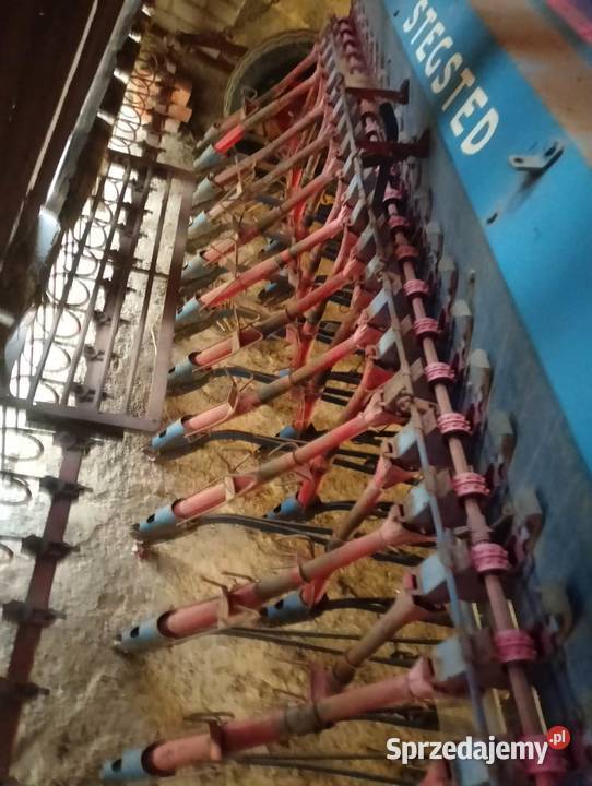 Siewnik zbożowy StegstedSTN 3m Zbuczyn