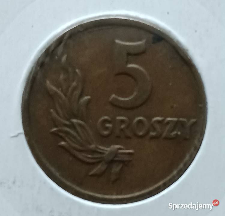 5 Groszy 1949 r Brąz Konin